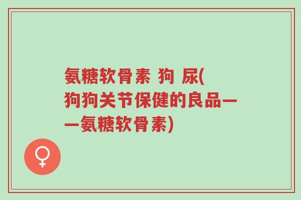 氨糖软骨素 狗 尿(狗狗关节保健的良品——氨糖软骨素)-第1张图片-超越 氨糖软骨素 狗 尿(狗狗关节保健的良品——氨糖软骨素)-第1张图片-超越