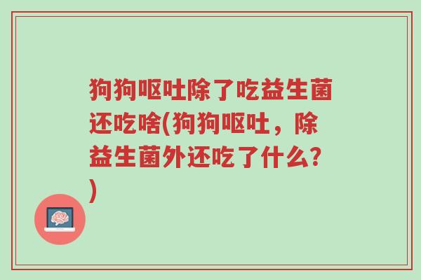 狗狗呕吐除了吃益生菌还吃啥(狗狗呕吐,除益生菌外还吃了什么?)-第1张图片-超越 狗狗呕吐除了吃益生菌还吃啥(狗狗呕吐,除益生菌外还吃了什么?)-第1张图片-超越