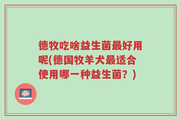 德牧吃啥益生菌最好用呢(德国牧羊犬最适合使用哪一种益生菌?)-第1张图片-超越 德牧吃啥益生菌最好用呢(德国牧羊犬最适合使用哪一种益生菌?)-第1张图片-超越
