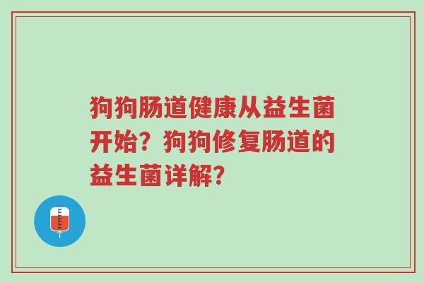 狗狗肠道健康从益生菌开始?狗狗修复肠道的益生菌详解?-第1张图片-超越 狗狗肠道健康从益生菌开始?狗狗修复肠道的益生菌详解?-第1张图片-超越