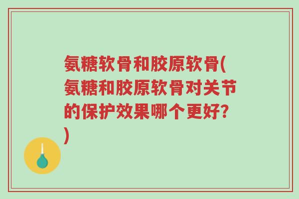 氨糖软骨和胶原软骨(氨糖和胶原软骨对关节的保护效果哪个更好？)-第1张图片-超越