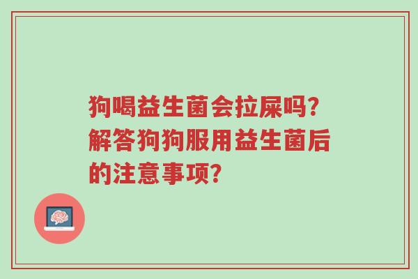 狗喝益生菌会拉屎吗?解答狗狗服用益生菌后的注意事项?-第1张图片-超越 狗喝益生菌会拉屎吗?解答狗狗服用益生菌后的注意事项?-第1张图片-超越