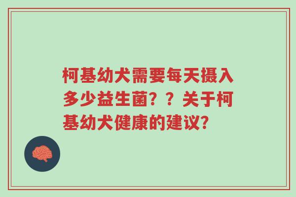 柯基幼犬需要每天摄入多少益生菌??关于柯基幼犬健康的建议?-第1张图片-超越 柯基幼犬需要每天摄入多少益生菌??关于柯基幼犬健康的建议?-第1张图片-超越