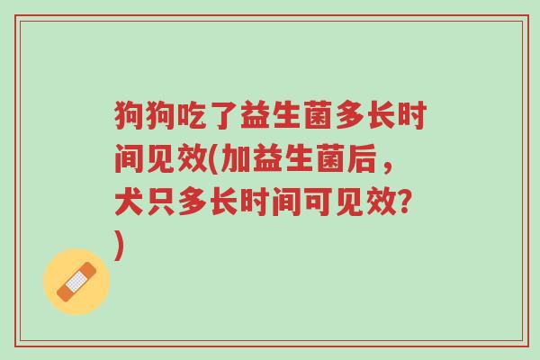 狗狗吃了益生菌多长时间见效(加益生菌后,犬只多长时间可见效?)-第1张图片-超越 狗狗吃了益生菌多长时间见效(加益生菌后,犬只多长时间可见效?)-第1张图片-超越