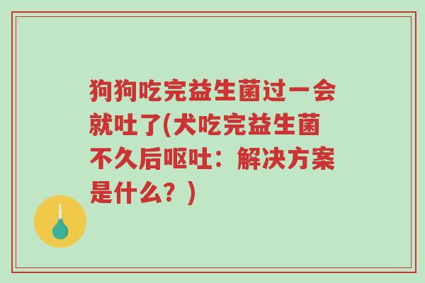 狗狗吃完益生菌过一会就吐了(犬吃完益生菌不久后呕吐:解决方案是什么?)-第1张图片-超越 狗狗吃完益生菌过一会就吐了(犬吃完益生菌不久后呕吐:解决方案是什么?)-第1张图片-超越