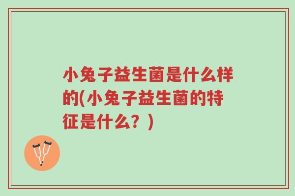 小兔子益生菌是什么样的(小兔子益生菌的特征是什么?)-第1张图片-超越 小兔子益生菌是什么样的(小兔子益生菌的特征是什么?)-第1张图片-超越