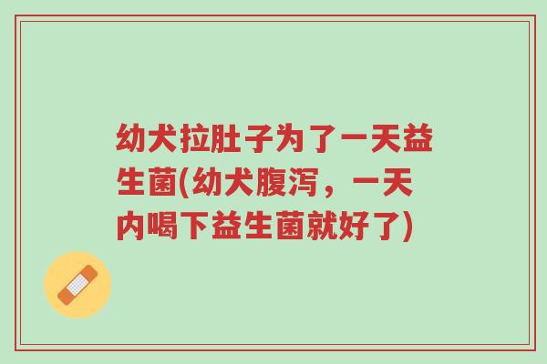 幼犬拉肚子为了一天益生菌(幼犬腹泻,一天内喝下益生菌就好了)-第1张图片-超越 幼犬拉肚子为了一天益生菌(幼犬腹泻,一天内喝下益生菌就好了)-第1张图片-超越
