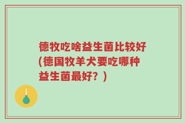德牧吃啥益生菌比较好(德国牧羊犬要吃哪种益生菌最好？)-第1张图片-超越
