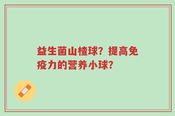 益生菌山楂球?提高免疫力的营养小球?-第1张图片-超越 益生菌山楂球?提高免疫力的营养小球?-第1张图片-超越