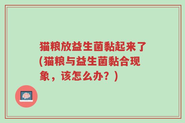 猫粮放益生菌黏起来了(猫粮与益生菌黏合现象,该怎么办?)-第1张图片-超越 猫粮放益生菌黏起来了(猫粮与益生菌黏合现象,该怎么办?)-第1张图片-超越