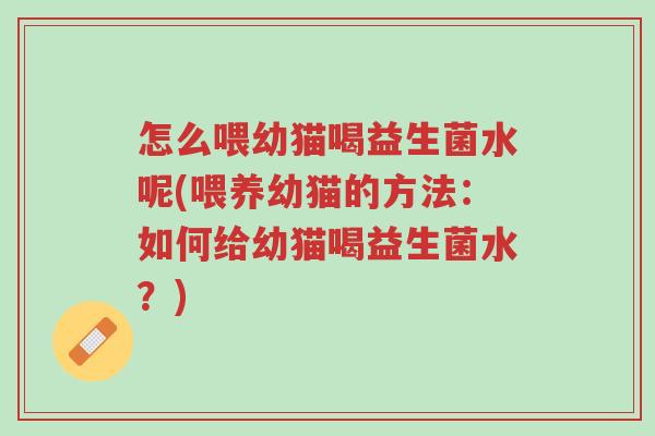 怎么喂幼猫喝益生菌水呢(喂养幼猫的方法：如何给幼猫喝益生菌水？)-第1张图片-超越