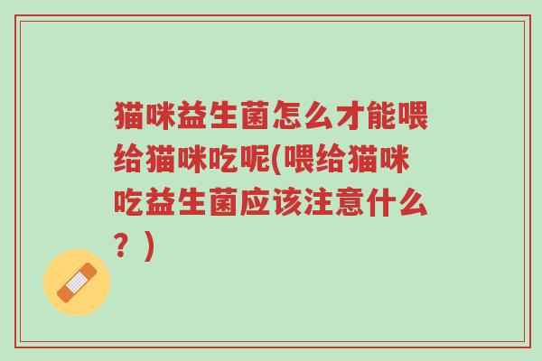 猫咪益生菌怎么才能喂给猫咪吃呢(喂给猫咪吃益生菌应该注意什么?)-第1张图片-超越 猫咪益生菌怎么才能喂给猫咪吃呢(喂给猫咪吃益生菌应该注意什么?)-第1张图片-超越