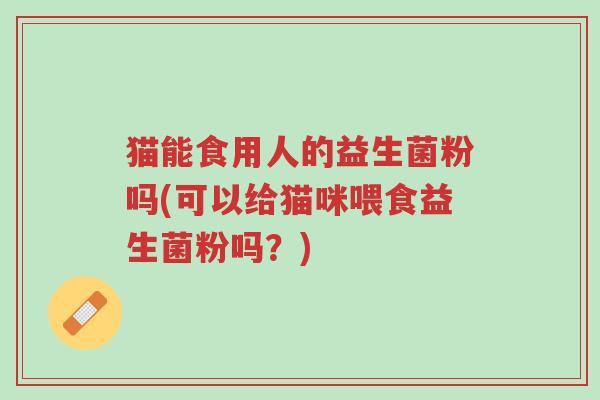 猫能食用人的益生菌粉吗(可以给猫咪喂食益生菌粉吗?)-第1张图片-超越 猫能食用人的益生菌粉吗(可以给猫咪喂食益生菌粉吗?)-第1张图片-超越