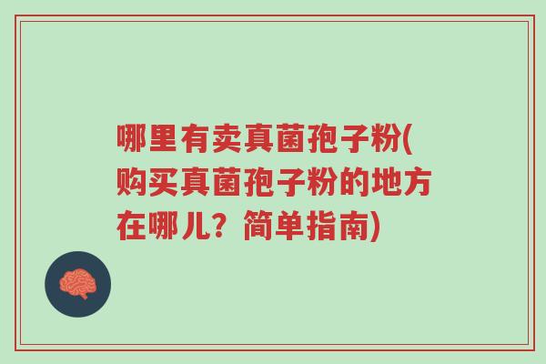 哪里有卖真菌孢子粉(购买真菌孢子粉的地方在哪儿?简单指南)-第1张图片-超越 哪里有卖真菌孢子粉(购买真菌孢子粉的地方在哪儿?简单指南)-第1张图片-超越
