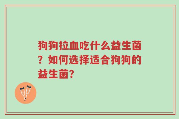 狗狗拉血吃什么益生菌?如何选择适合狗狗的益生菌?-第1张图片-超越 狗狗拉血吃什么益生菌?如何选择适合狗狗的益生菌?-第1张图片-超越
