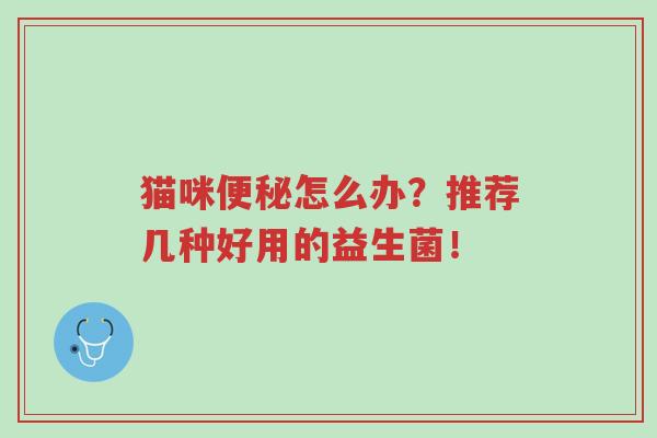 猫咪便秘怎么办?推荐几种好用的益生菌!-第1张图片-超越 猫咪便秘怎么办?推荐几种好用的益生菌!-第1张图片-超越
