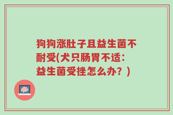 狗狗涨肚子且益生菌不耐受(犬只肠胃不适:益生菌受挫怎么办?)-第1张图片-超越 狗狗涨肚子且益生菌不耐受(犬只肠胃不适:益生菌受挫怎么办?)-第1张图片-超越