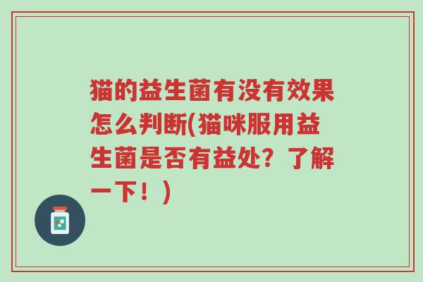 猫的益生菌有没有效果怎么判断(猫咪服用益生菌是否有益处?了解一下!)-第1张图片-超越 猫的益生菌有没有效果怎么判断(猫咪服用益生菌是否有益处?了解一下!)-第1张图片-超越
