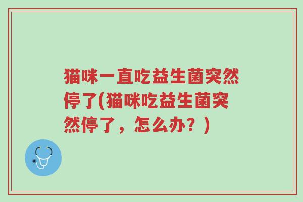 猫咪一直吃益生菌突然停了(猫咪吃益生菌突然停了,怎么办?)-第1张图片-超越 猫咪一直吃益生菌突然停了(猫咪吃益生菌突然停了,怎么办?)-第1张图片-超越