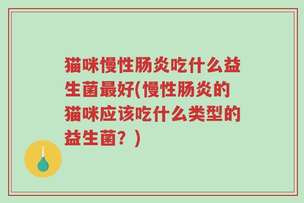 猫咪慢性肠炎吃什么益生菌最好(慢性肠炎的猫咪应该吃什么类型的益生菌?)-第1张图片-超越 猫咪慢性肠炎吃什么益生菌最好(慢性肠炎的猫咪应该吃什么类型的益生菌?)-第1张图片-超越