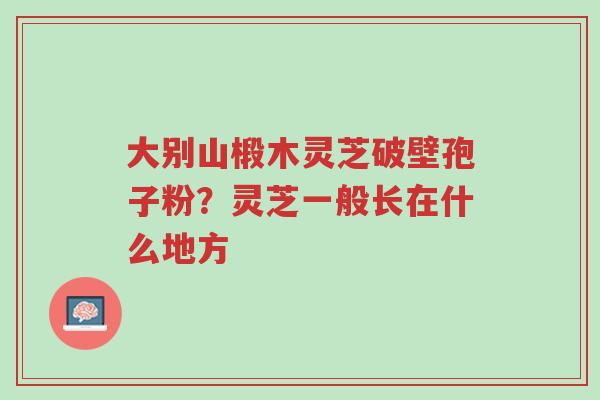 大别山椴木灵芝破壁孢子粉？灵芝一般长在什么地方-第1张图片-超越