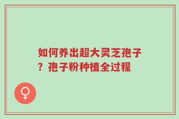 如何养出超大灵芝孢子?孢子粉种植全过程-第1张图片-超越 如何养出超大灵芝孢子?孢子粉种植全过程-第1张图片-超越