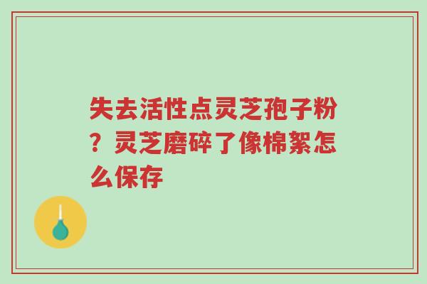 失去活性点灵芝孢子粉?灵芝磨碎了像棉絮怎么保存-第1张图片-超越 失去活性点灵芝孢子粉?灵芝磨碎了像棉絮怎么保存-第1张图片-超越