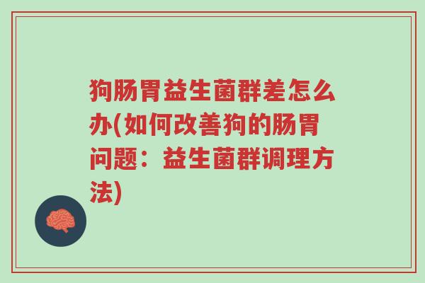 狗肠胃益生菌群差怎么办(如何改善狗的肠胃问题:益生菌群调理方法)-第1张图片-超越 狗肠胃益生菌群差怎么办(如何改善狗的肠胃问题:益生菌群调理方法)-第1张图片-超越