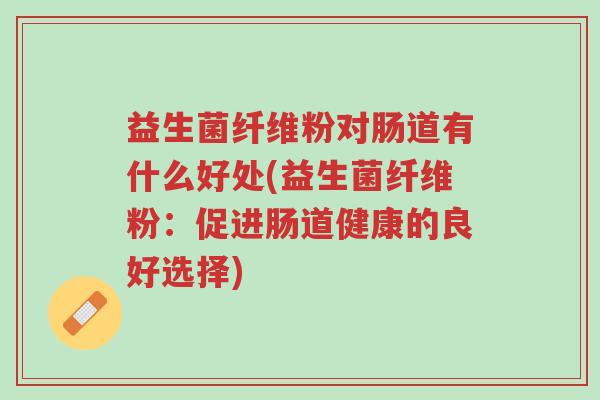 益生菌纤维粉对肠道有什么好处(益生菌纤维粉:促进肠道健康的良好选择)-第1张图片-超越 益生菌纤维粉对肠道有什么好处(益生菌纤维粉:促进肠道健康的良好选择)-第1张图片-超越