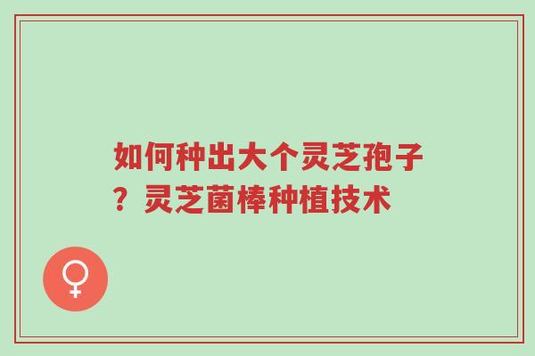 如何种出大个灵芝孢子?灵芝菌棒种植技术-第1张图片-超越 如何种出大个灵芝孢子?灵芝菌棒种植技术-第1张图片-超越