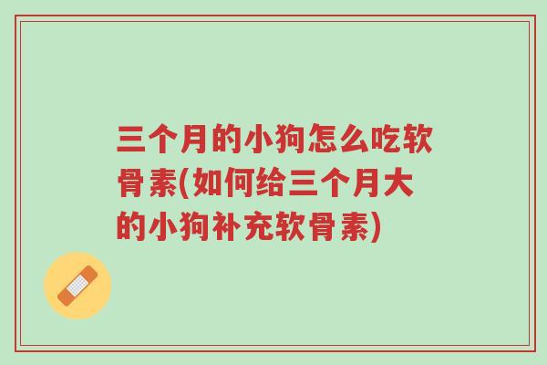 三个月的小狗怎么吃软骨素(如何给三个月大的小狗补充软骨素)-第1张图片-超越 三个月的小狗怎么吃软骨素(如何给三个月大的小狗补充软骨素)-第1张图片-超越