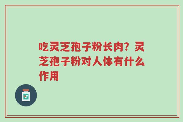 吃灵芝孢子粉长肉?灵芝孢子粉对人体有什么作用-第1张图片-超越 吃灵芝孢子粉长肉?灵芝孢子粉对人体有什么作用-第1张图片-超越