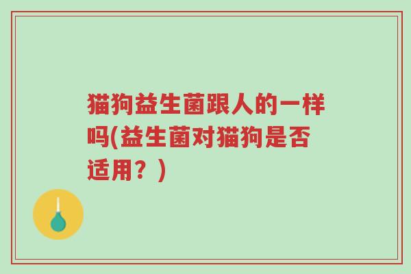 猫狗益生菌跟人的一样吗(益生菌对猫狗是否适用?)-第1张图片-超越 猫狗益生菌跟人的一样吗(益生菌对猫狗是否适用?)-第1张图片-超越