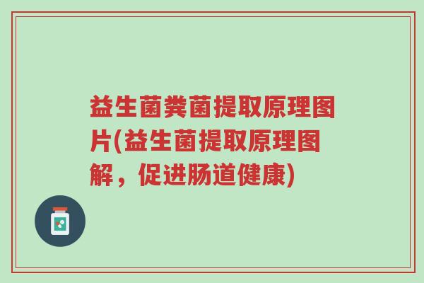 益生菌粪菌提取原理图片(益生菌提取原理图解,促进肠道健康)-第1张图片-超越 益生菌粪菌提取原理图片(益生菌提取原理图解,促进肠道健康)-第1张图片-超越