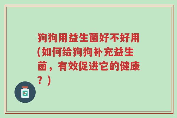 狗狗用益生菌好不好用(如何给狗狗补充益生菌,有效促进它的健康?)-第1张图片-超越 狗狗用益生菌好不好用(如何给狗狗补充益生菌,有效促进它的健康?)-第1张图片-超越