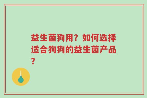 益生菌狗用？如何选择适合狗狗的益生菌产品？-第1张图片-超越