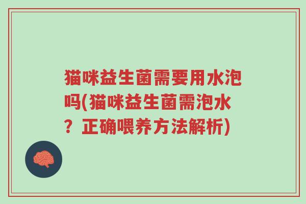 猫咪益生菌需要用水泡吗(猫咪益生菌需泡水?正确喂养方法解析)-第1张图片-超越 猫咪益生菌需要用水泡吗(猫咪益生菌需泡水?正确喂养方法解析)-第1张图片-超越