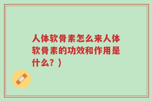 人体软骨素怎么来人体软骨素的功效和作用是什么?)-第1张图片-超越 人体软骨素怎么来人体软骨素的功效和作用是什么?)-第1张图片-超越