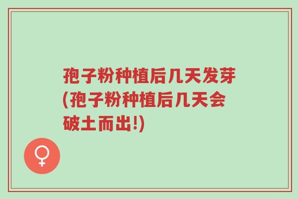 孢子粉种植后几天发芽(孢子粉种植后几天会破土而出!)-第1张图片-超越 孢子粉种植后几天发芽(孢子粉种植后几天会破土而出!)-第1张图片-超越