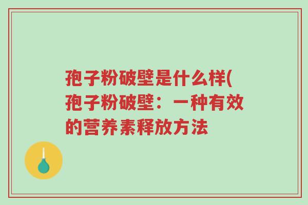 孢子粉破壁是什么样(孢子粉破壁:一种有效的营养素释放方法-第1张图片-超越 孢子粉破壁是什么样(孢子粉破壁:一种有效的营养素释放方法-第1张图片-超越