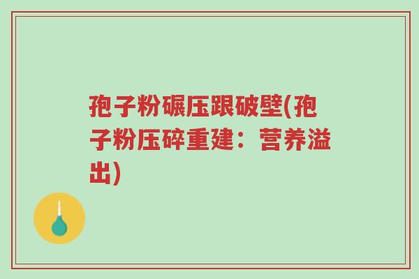 孢子粉碾压跟破壁(孢子粉压碎重建:营养溢出)-第1张图片-超越 孢子粉碾压跟破壁(孢子粉压碎重建:营养溢出)-第1张图片-超越