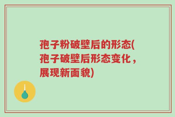 孢子粉破壁后的形态(孢子破壁后形态变化,展现新面貌)-第1张图片-超越 孢子粉破壁后的形态(孢子破壁后形态变化,展现新面貌)-第1张图片-超越