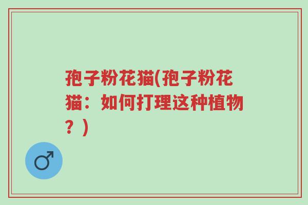孢子粉花猫(孢子粉花猫:如何打理这种植物?)-第1张图片-超越 孢子粉花猫(孢子粉花猫:如何打理这种植物?)-第1张图片-超越