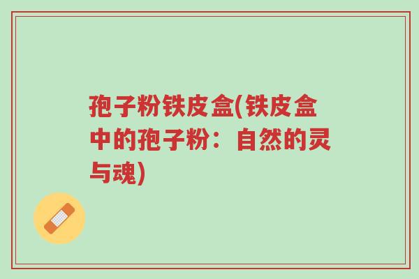 孢子粉铁皮盒(铁皮盒中的孢子粉:自然的灵与魂)-第1张图片-超越 孢子粉铁皮盒(铁皮盒中的孢子粉:自然的灵与魂)-第1张图片-超越