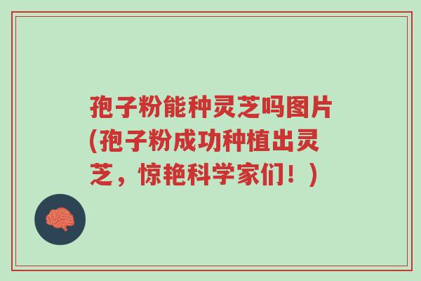 孢子粉能种灵芝吗图片(孢子粉成功种植出灵芝，惊艳科学家们！)-第1张图片-超越