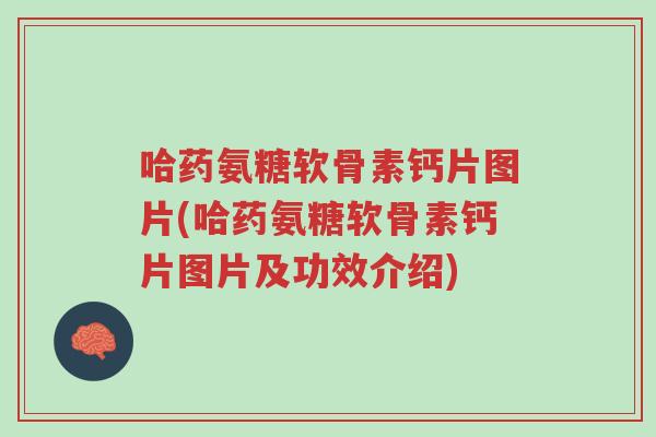 哈药氨糖软骨素钙片图片(哈药氨糖软骨素钙片图片及功效介绍)-第1张图片-超越 哈药氨糖软骨素钙片图片(哈药氨糖软骨素钙片图片及功效介绍)-第1张图片-超越