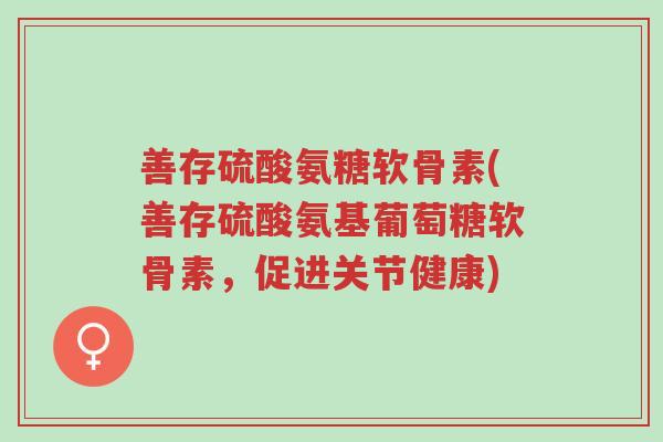 善存硫酸氨糖软骨素(善存硫酸氨基葡萄糖软骨素,促进关节健康)-第1张图片-超越 善存硫酸氨糖软骨素(善存硫酸氨基葡萄糖软骨素,促进关节健康)-第1张图片-超越