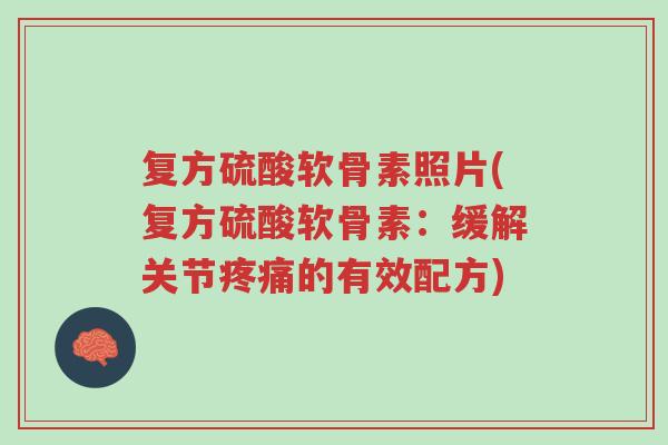 复方硫酸软骨素照片(复方硫酸软骨素：缓解关节疼痛的有效配方)-第1张图片-超越