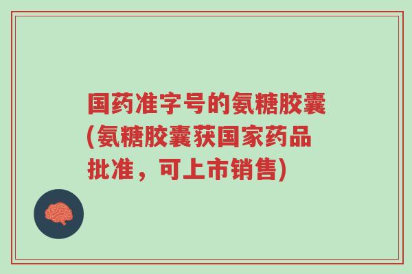 国药准字号的氨糖胶囊(氨糖胶囊获国家药品批准,可上市销售)-第1张图片-超越 国药准字号的氨糖胶囊(氨糖胶囊获国家药品批准,可上市销售)-第1张图片-超越