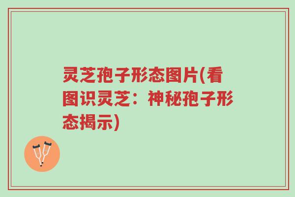 灵芝孢子形态图片(看图识灵芝:神秘孢子形态揭示)-第1张图片-超越 灵芝孢子形态图片(看图识灵芝:神秘孢子形态揭示)-第1张图片-超越
